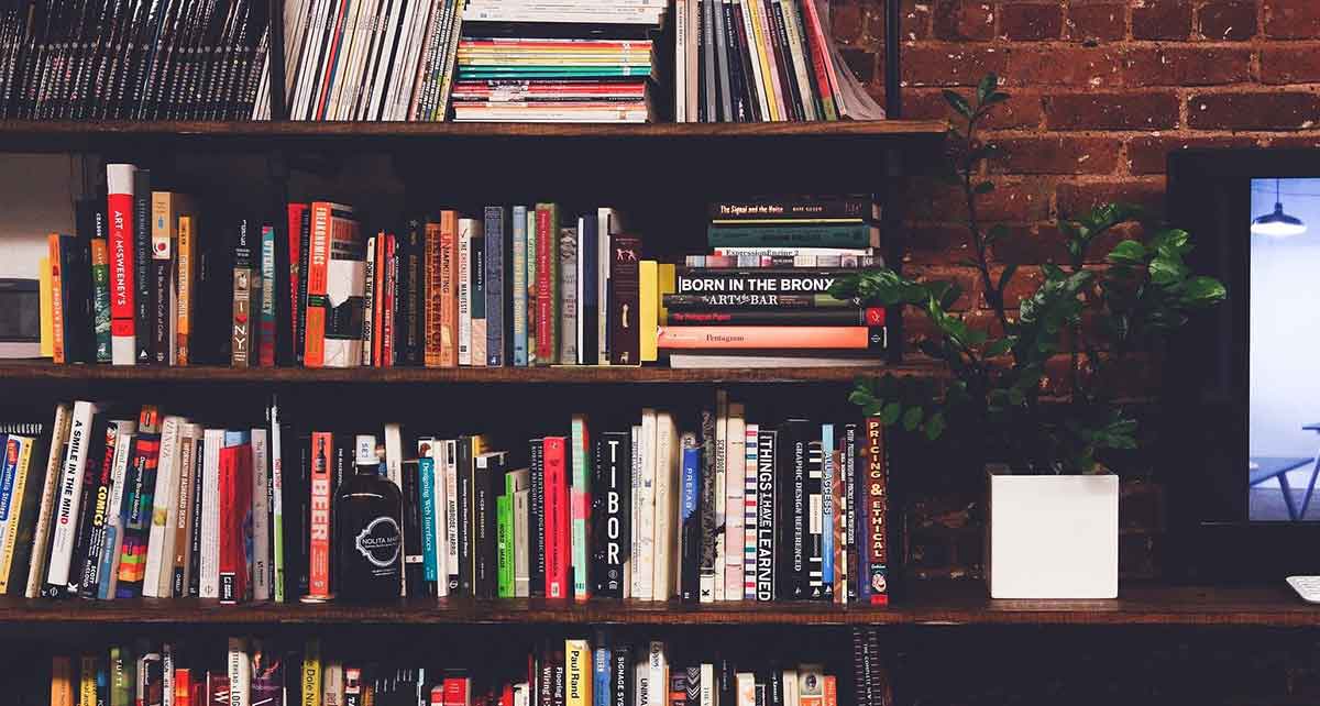 la bibliothèque est l'endroit idéal pour stocker vos livres ! Elle apporte en plus une touche décorative